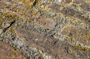 Old weathered grunge masonry brick wall surface detail closeup as background