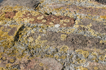 Old weathered grunge masonry brick wall surface detail closeup as background