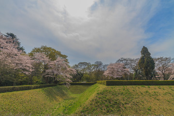 春の佐倉城跡の角馬出の風景