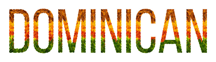 word dominican country is written with leaves on a white insulated background, a banner for printing, a creative developing country colored leaves dominican