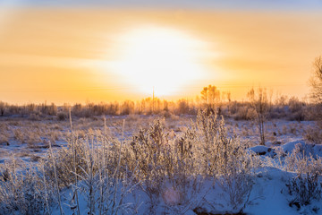 Dawn over the floodplain of the river