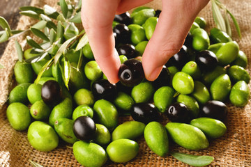 Genuine Italian organic oil cold pressed in slow motion falls on organic bread. concept of nature and healthy food, healthy and natural. fresh olives and Tuscan Italian oil