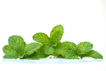 Close up Peppermint on white background.