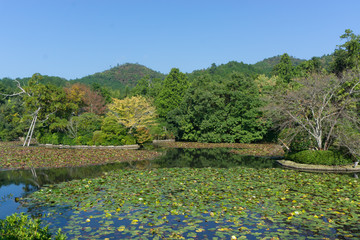 Beautiful park in Japan