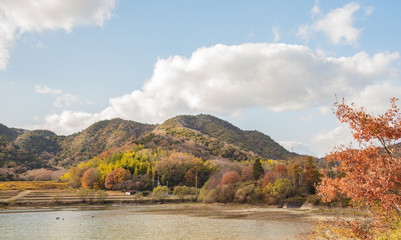 加古川市・晩秋初冬の風景