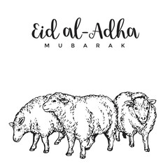 Vintage Hand Drawing Eid Al-Adha Greeting Card Sketch Card Illustration