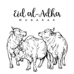 Vintage Hand Drawing Eid Al-Adha Greeting Card Sketch Card Illustration