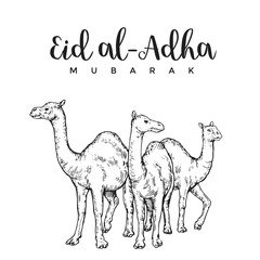 Vintage Hand Drawing Eid Al-Adha Greeting Card Sketch Card Illustration