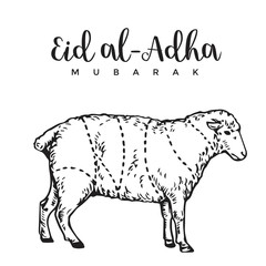 Vintage Hand Drawing Eid Al-Adha Greeting Card Sketch Card Illustration