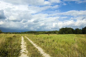 Fototapeta na wymiar Road through a wild meadow, copse and storm clouds
