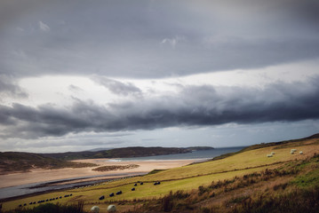 Fototapeta premium Scottish landscape