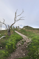 Tourists go on a footpath uphill