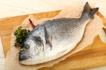 raw dorada fish