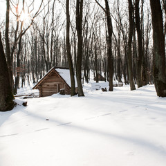 Naklejka premium Wooden house in the mountains covered with snow