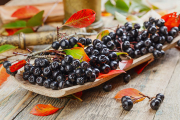 Aronia with leaves .