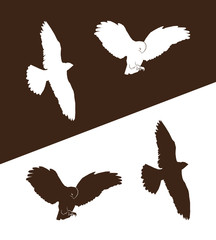 Figures of flying birds of prey