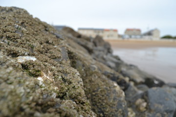 Stone Beach