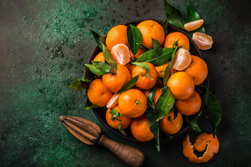 fresh clementines (tangerines) with leaves on dark greeen background