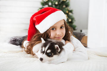 Fototapeta na wymiar Happy Little girl in a Santa hat and puppy dog at Christmas.