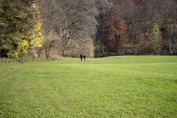 Fototapeta premium couple walking in the park