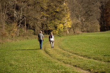 Fototapeta premium couple walk in park