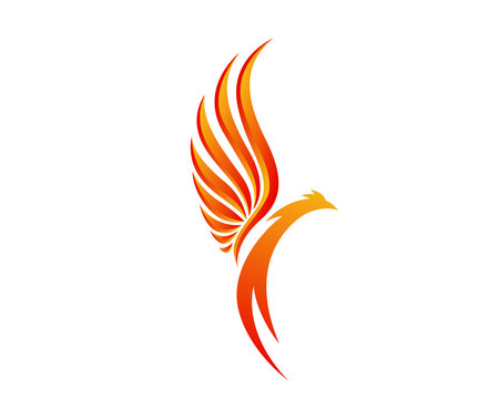 Modern Flaming Phoenix Illustration Symbol