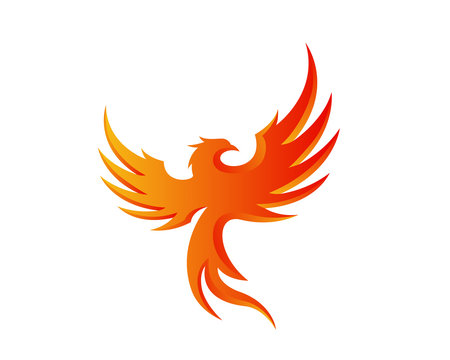 Modern Flaming Phoenix Illustration Symbol