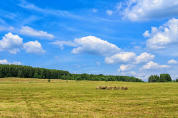 Fototapeta premium Beautiful landscape with haystacks in the fields. The Russian open spaces.