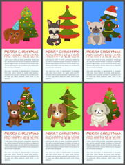 Merry Christmas and Happy New Year Pets and Spruce