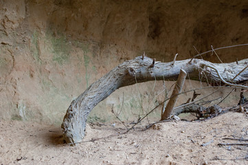 Felsen und Steine