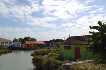 house color riverside green house
