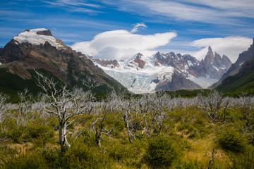 Dead trees with Cerro Torre in the back in Los Glaciares National Park in Patagonia, Argentina