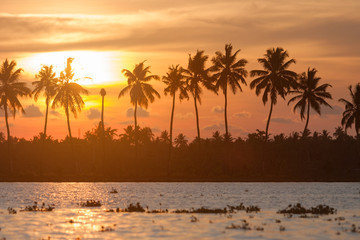 Fototapeta premium Backwaters