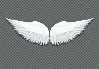 Fototapeta na wymiar Vector realistic white angel wings on transparent