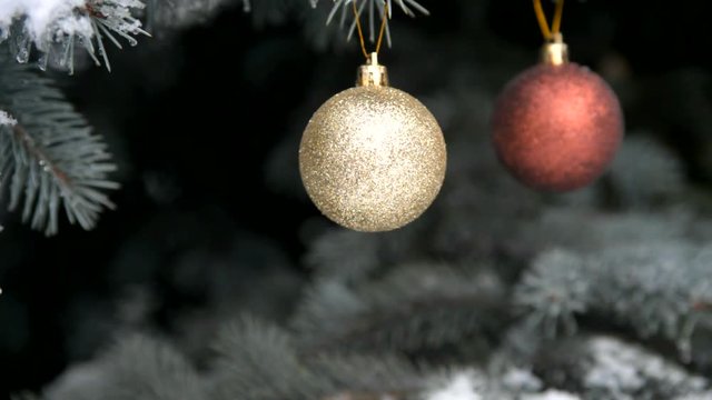 Christmas Background multi-colored balls on Christmas tree branches 