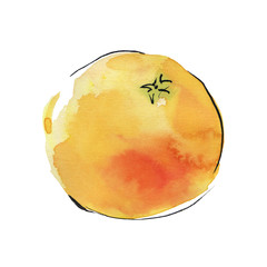 Watercolor orange isolated on white background. Hand drawn illustration. Sketch of fruit.
