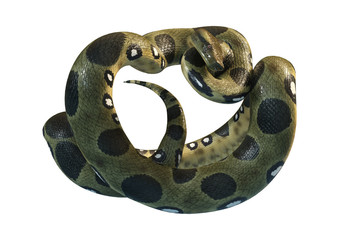 3D Rendering Green Anaconda on White