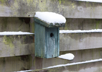 Birdhouse covert in snow