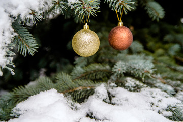 Christmas Background multi-colored balls on Christmas tree branches 