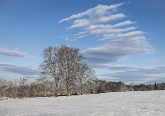 Fototapeta na wymiar Snowy Farm Field with Dramatic Clouds 