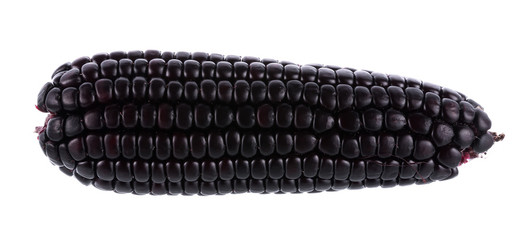 Black Corn on white background