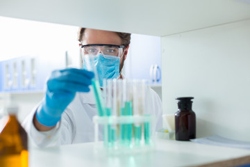 Fototapeta premium Smart professional scientist working in the laboratory