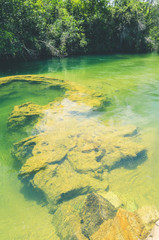 Rock formations at the bottom of a river with transparent green water. Beautiful nature at Bonito - MS, Brazil.
