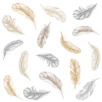Fototapeta Feather Pattern