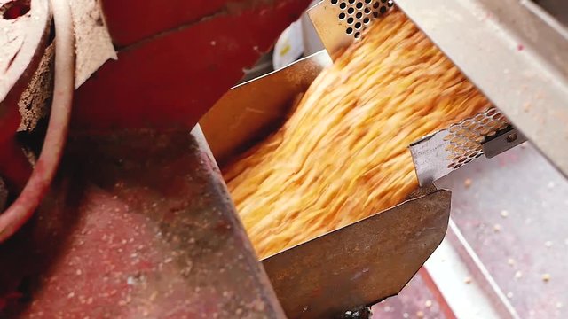 Dent corn seeds flow