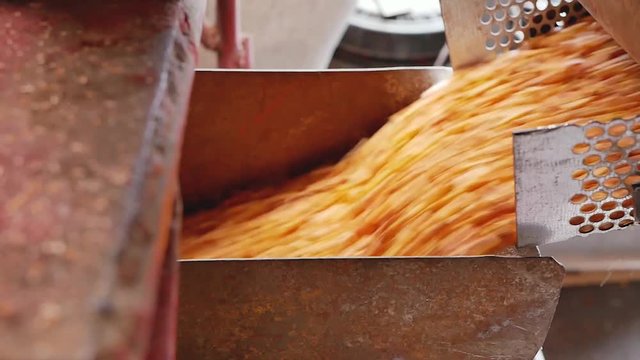 Dent corn seeds flow in mordant cell