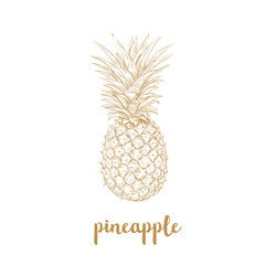 Pineapple sketch vector illustration. 