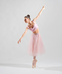 Naklejka premium Ballerina (on grey version)