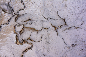 Muddy cracked texture background.Muddy cracked surface texture