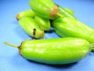 bilimbi close up 